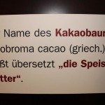 Schoko6