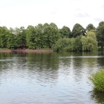 Stadtpark17
