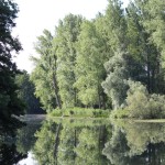 Wakenitz22