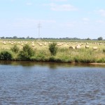 Weserfahrt29