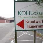Wesselburen15