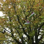 Wesselburen50