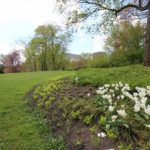 2016-05-03 Spaziergang Wallanlagen 032