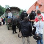 2016-05-25_51 Aalkate u.Kutschfahrt
