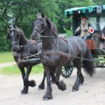2016-05-25_62 Aalkate u.Kutschfahrt