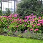 2016-07-05 Bot Garten 12