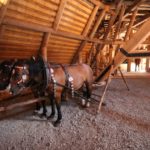 2016-08-21-073-erzgebirge_800x533