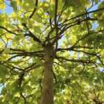 2016-08-21-159-erzgebirge_800x533