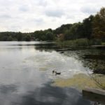 2016-09-28_044-moelln